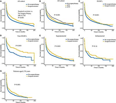 Real-World Impact of Surgical Excision on Overall Survival in Primary Central Nervous System Lymphoma